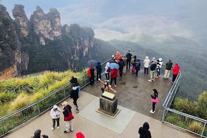Blue Mountains Private Sightseeing Tours