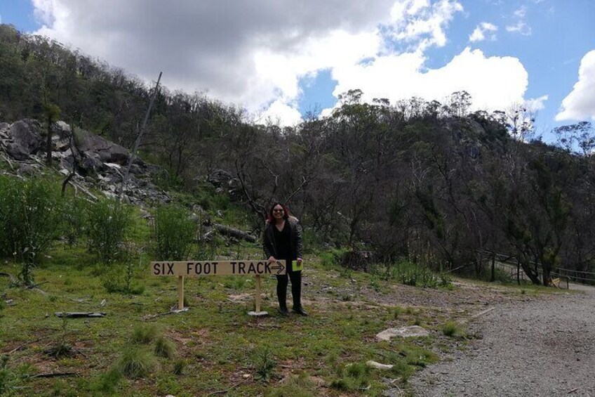 Blue Mountains and Jenolan Caves Tours