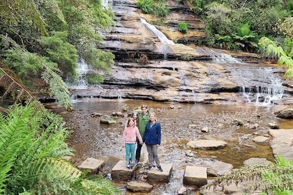 Blue Mountains Private Tour from Sydney with Featherdale Park
