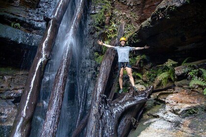 Juggler Canyon and Abseiling Adventure Blue Mountains