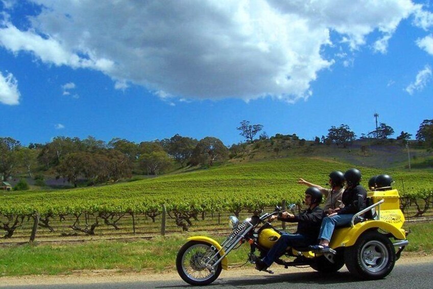 The beautiful Barossa 