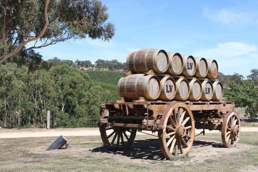 Private Adelaide Hills Wine Region Tour