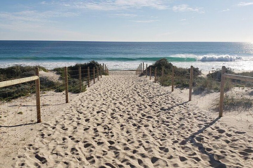 Very Best of Perth Tour - Wildlife Park & City Highlights Tour