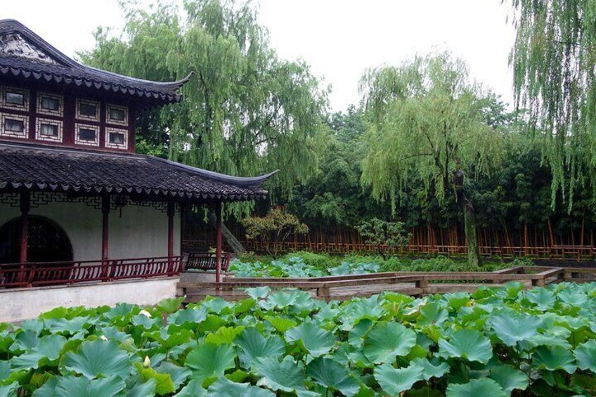 Full-Day Suzhou Classic Gardens All-inclusive Private Tour from Shanghai