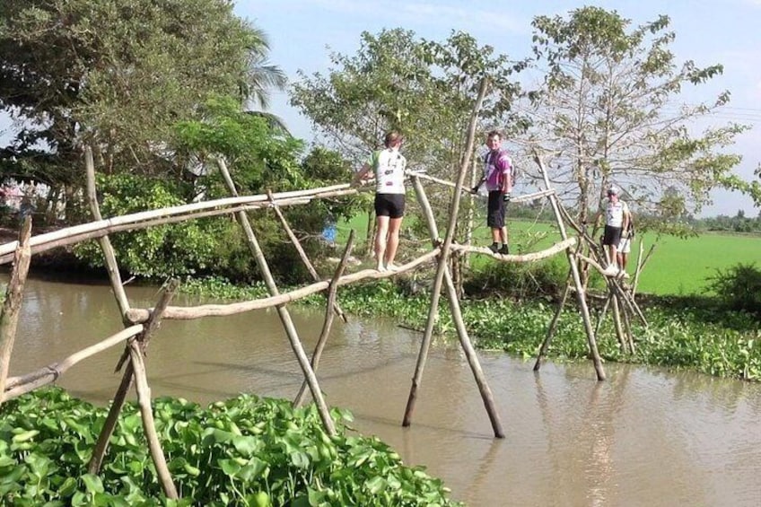 monkey-bridge-mekong-delta