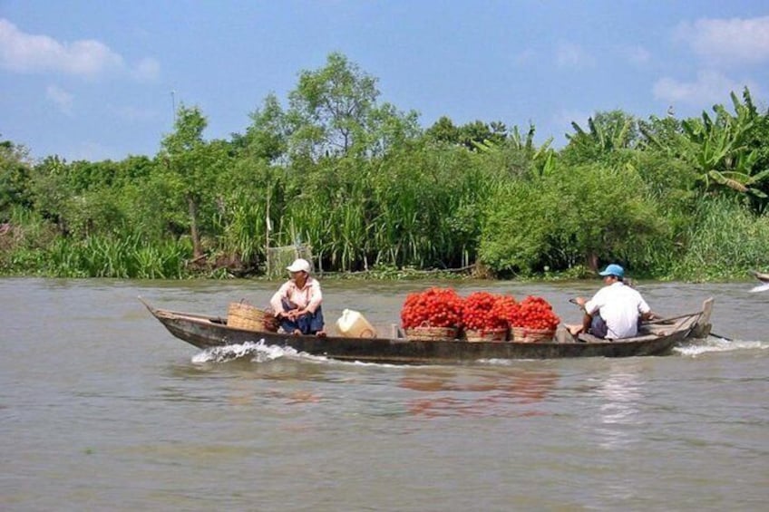 Cai Be Floating Market Luxury Group Tour 1 Day from Ho Chi Minh City