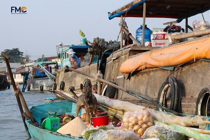 Mekong day tour Visit Cai Rang Floating Market pick up in Sai Gon