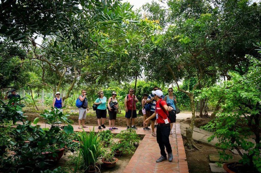 Private Tour to Explore Cu Chi Tunnels and Mekong Delta