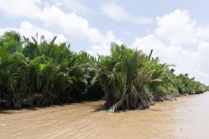 Private Tour to Explore Cu Chi Tunnels and Mekong Delta