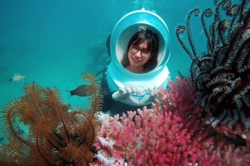 Nha Trang Private Tour Sea Walking With Photograph Underwater