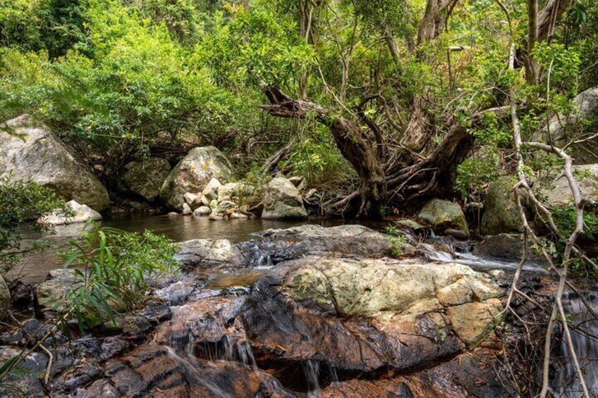 Private Tour Trekking At Nui Chua National Park From Nha Trang