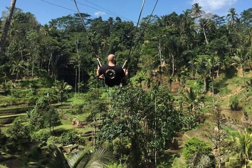 Jungle Bali Swing