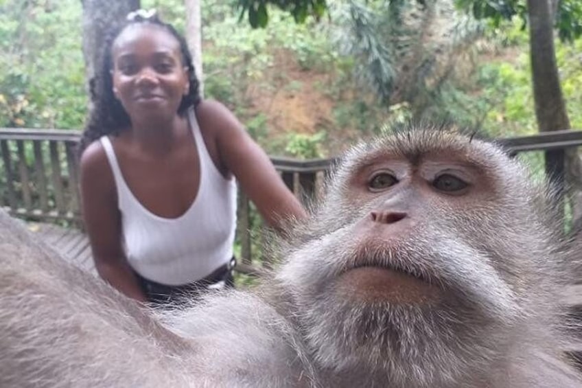 Bali Monkey Selfie