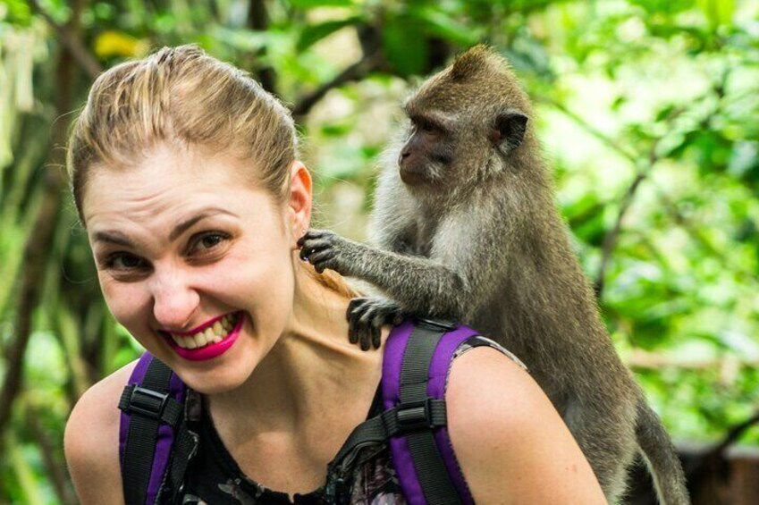 Ubud Sacred Monkey Forest