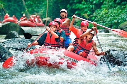 Wildwasser-Rafting-Abenteuer im Dschungel von Bali