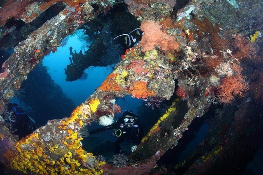 Shipwreck Dives in Tulamben Bali