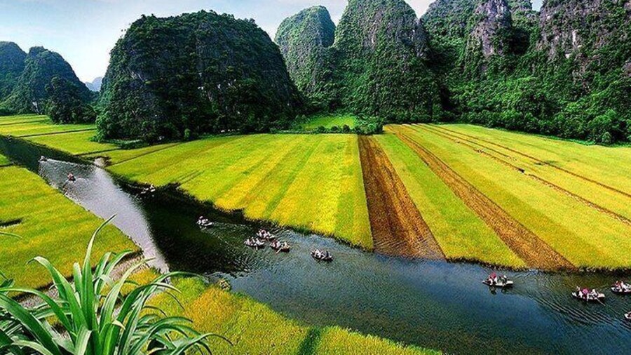Tam Coc View