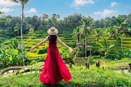 Private Bali-Tour: Alles über Ubud