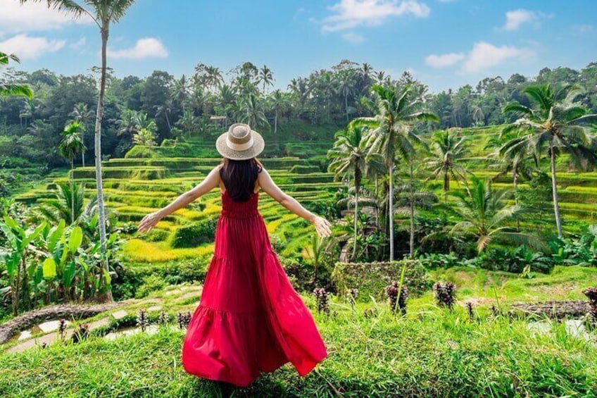 Bali Ubud Tour Package