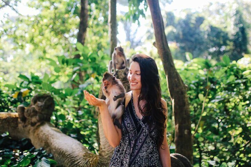 Monkey Forest