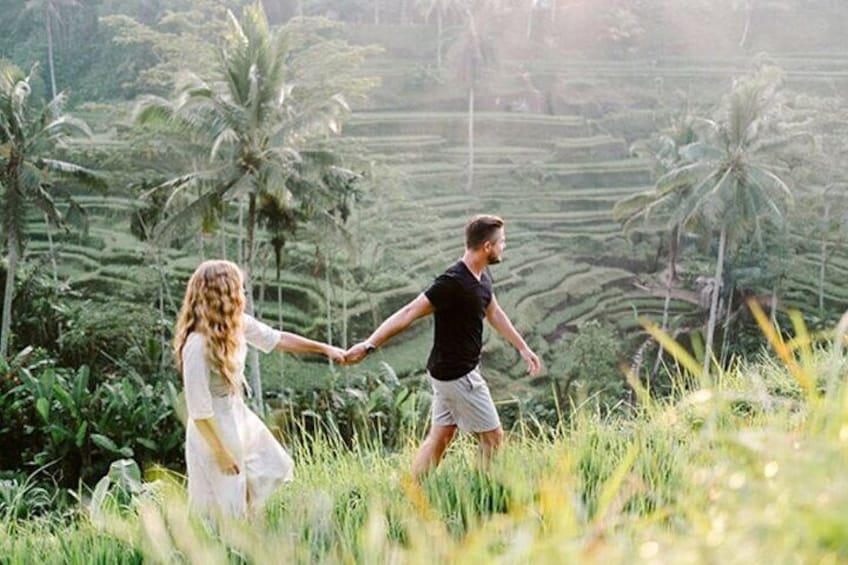 Rice Terrace