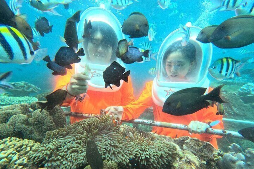 Sea Walking Experience