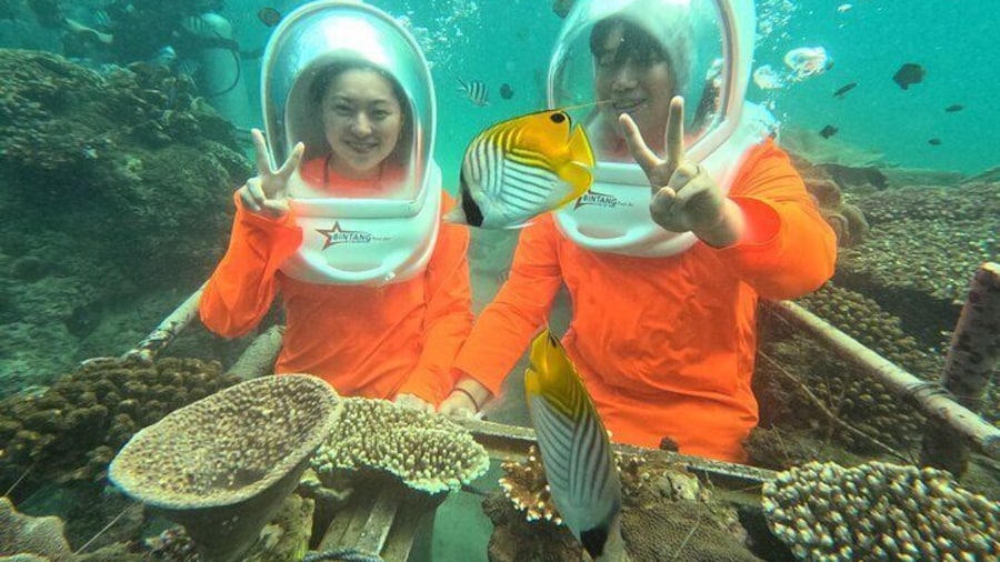 Bali Sea Walking Experience