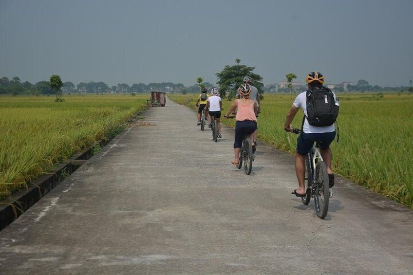 Hanoi Bicycle Tours Countryside Half Day