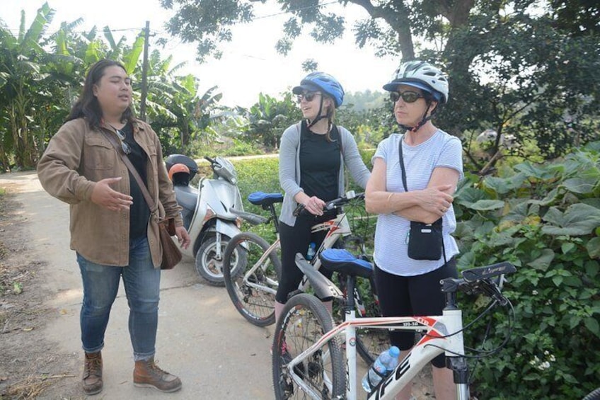 Hanoi Bicycle Tours Countryside Half Day