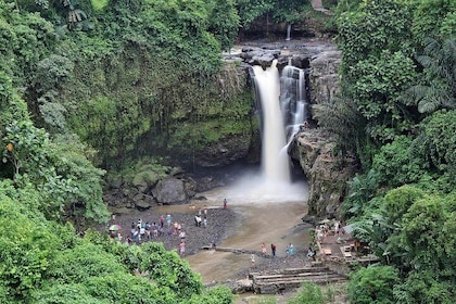 Private Full Day-Tour: Ubud Village, Waterfall and Kintamani Volcano Tour