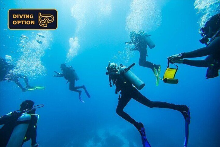 Upgrade to a diving tour option and discover the underwater wonders of Nusa Penida