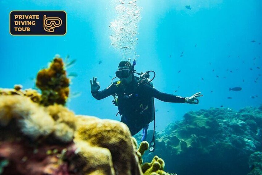 Upgrade to a diving tour option and explore coral reefs of Crystal Bay