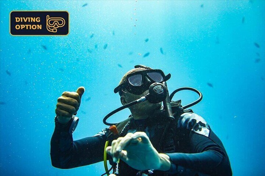 Upgrade to a diving tour option. Our PADI certified instructors will ensure your safety and comfort. 