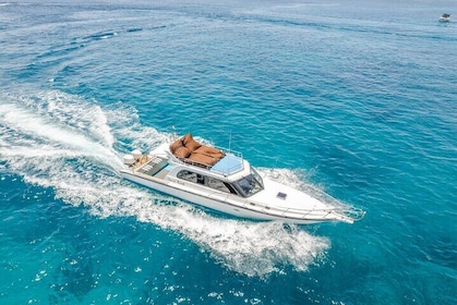 ️Nusa Penida by Private Boat - Snorkelling 4 spots, Swim with Mantas + Land...