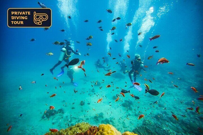 Upgrade to a diving tour option and discover the underwater wonders of Nusa Penida