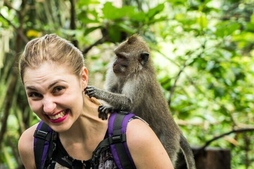 Sacred Ubud Monkey Forest Sanctuary