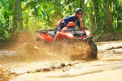 bali safari park gianyar Bali Quad Adventure with Waterfall Tour