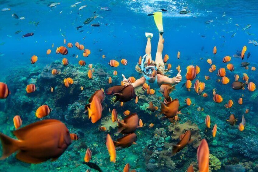 Snorkeling in Blue Lagoon Bali 6