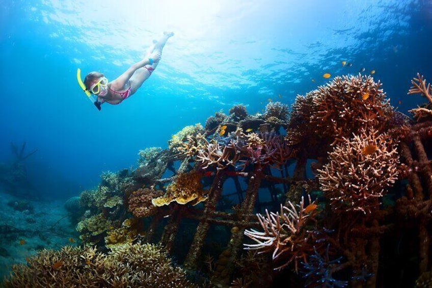 Snorkeling in Blue Lagoon Bali 1