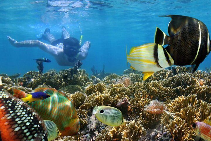 Snorkeling In Blue Lagoon Padang Bai Bali : Snorkel In The Clear Blue ...