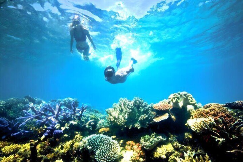 Snorkeling in Blue Lagoon Bali