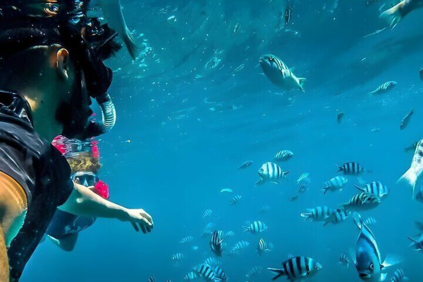Snorkeling in Blue Lagoon Bali 5