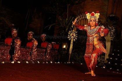 Bali Day-Tour: Ubud Night Half Day Trip with Dance Performance