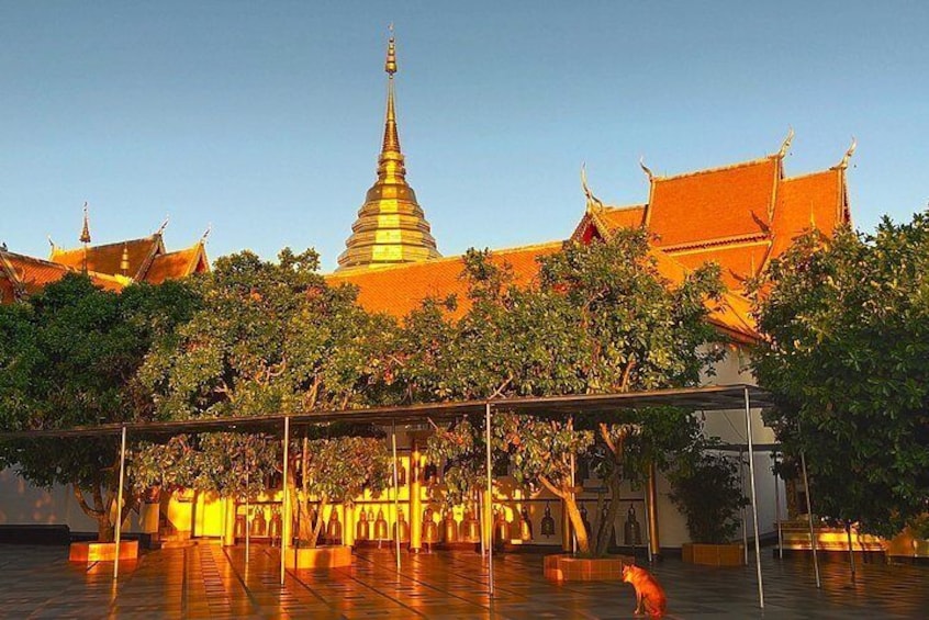 Wat Doi Suthep: Amazing Sunrise on Mountaintop & Stunning Chiangmai City Views