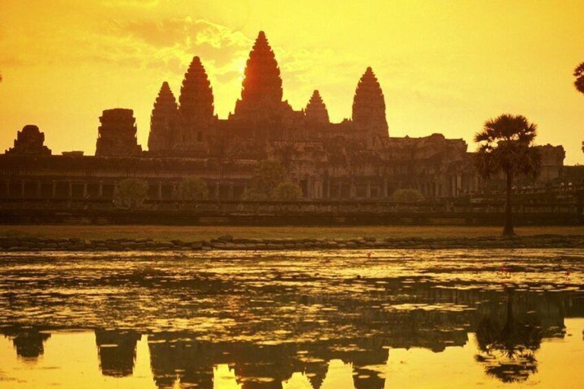 Angkor Wat Temple