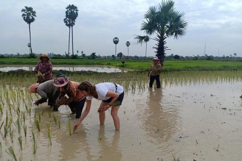 Connected with local farmers