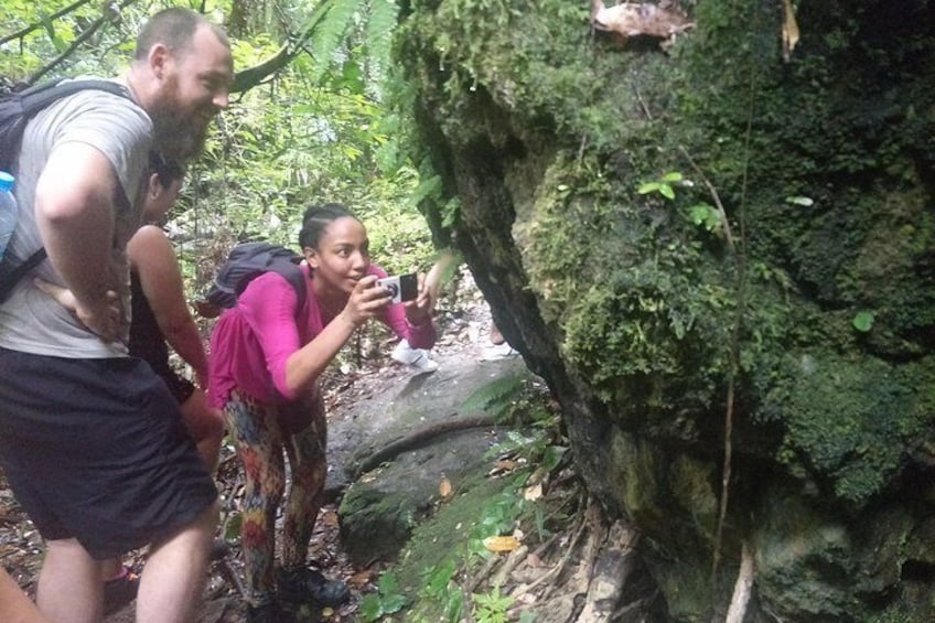 Small-Group Jungle Hiking Excursion in Khao Phra Teaw Park