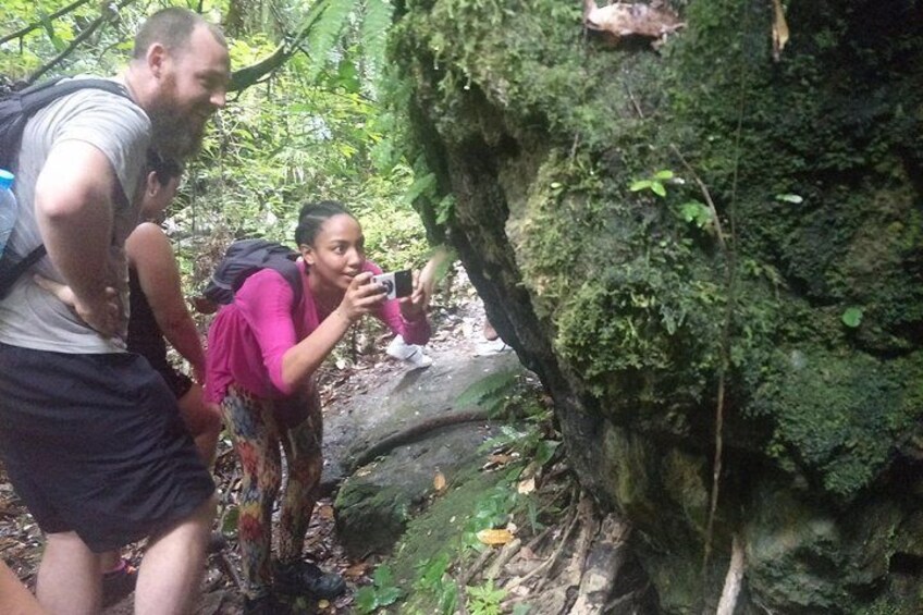 Small-Group Jungle Hiking Excursion in Khao Phra Teaw Park