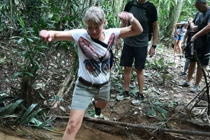 Small-Group Jungle Hiking Excursion in Khao Phra Teaw Park