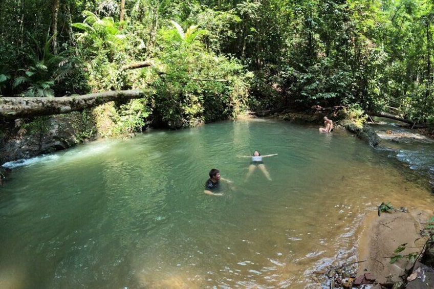 Small-Group Jungle Hiking Excursion in Khao Phra Teaw Park